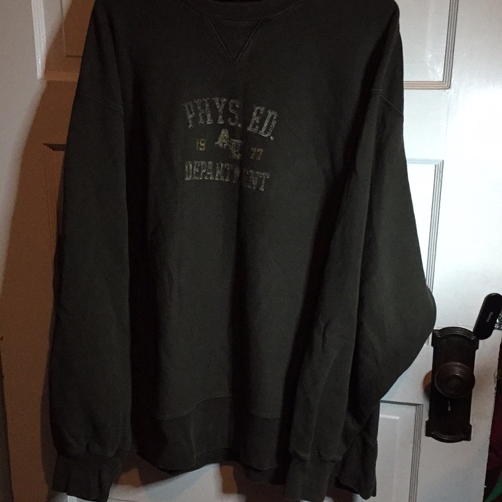 American Eagle Outfitters Vintage Crewneck Green